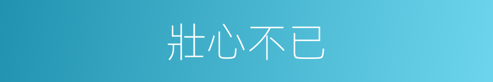 壯心不已的意思