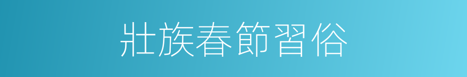 壯族春節習俗的同義詞