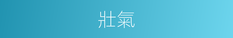 壯氣的意思