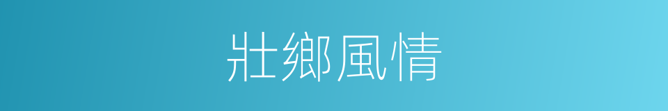 壯鄉風情的同義詞