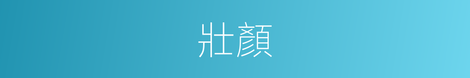 壯顏的意思
