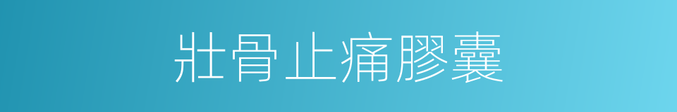壯骨止痛膠囊的同義詞