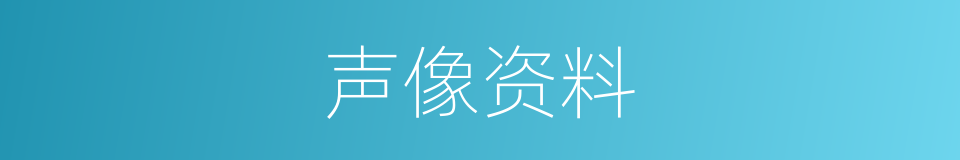 声像资料的同义词