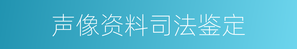 声像资料司法鉴定的同义词