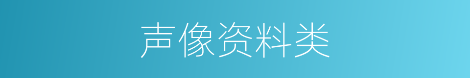 声像资料类的同义词