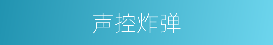 声控炸弹的同义词