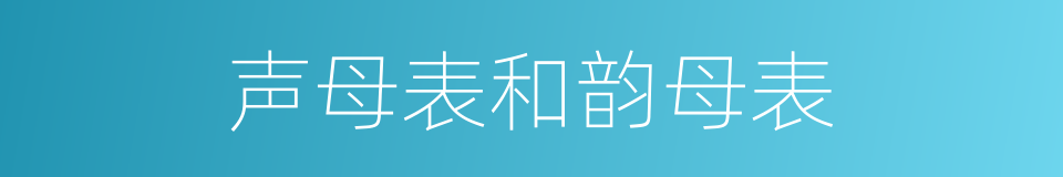 声母表和韵母表的同义词