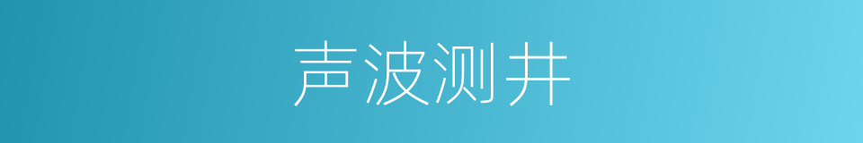 声波测井的同义词