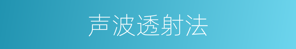 声波透射法的同义词