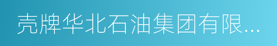 壳牌华北石油集团有限公司的同义词