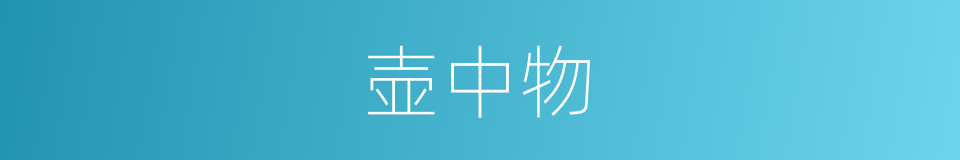 壶中物的意思