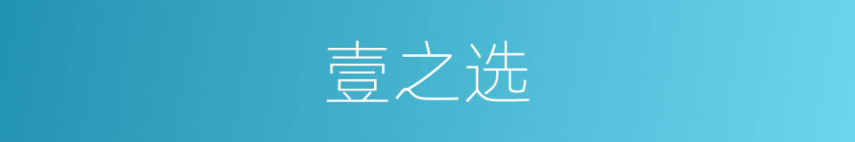 壹之选的同义词