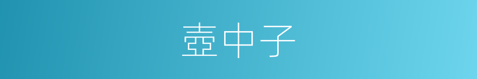 壺中子的同義詞