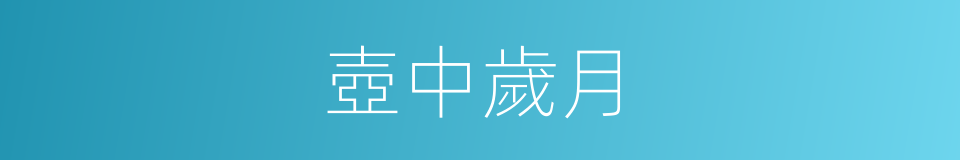 壺中歲月的同義詞