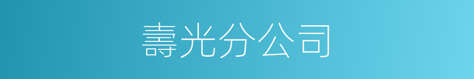 壽光分公司的同義詞