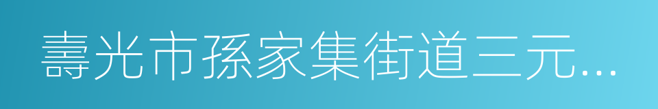 壽光市孫家集街道三元朱村的同義詞