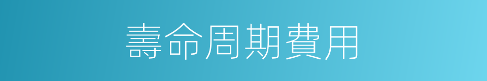 壽命周期費用的同義詞