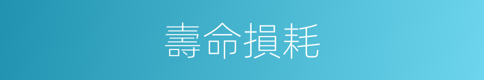 壽命損耗的同義詞