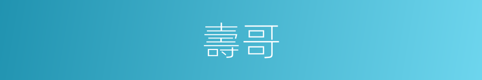 壽哥的同義詞