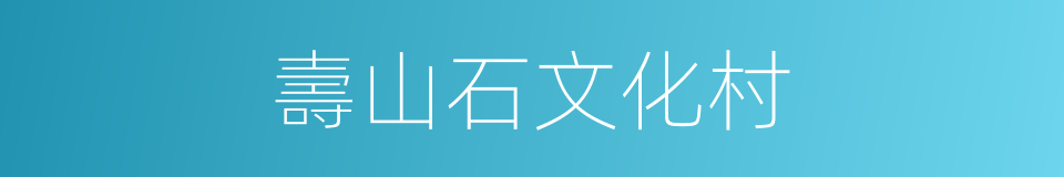壽山石文化村的同義詞