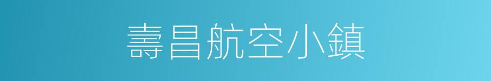 壽昌航空小鎮的同義詞