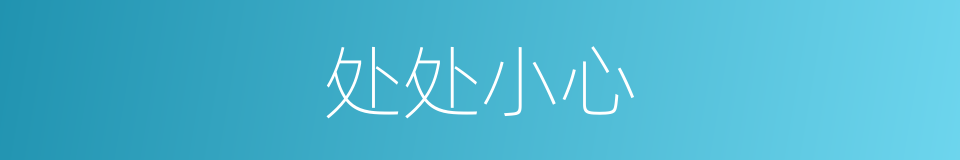 处处小心的同义词