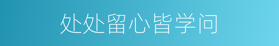 处处留心皆学问的意思