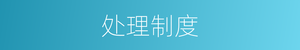 处理制度的同义词