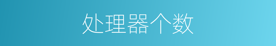处理器个数的同义词