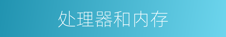 处理器和内存的同义词