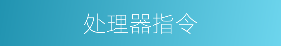 处理器指令的同义词