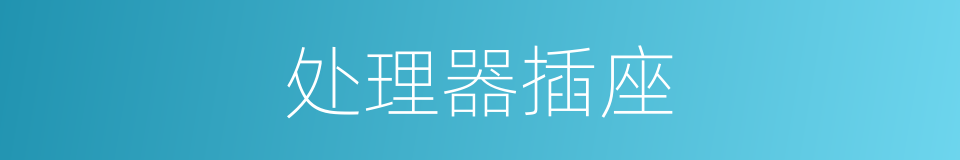 处理器插座的同义词