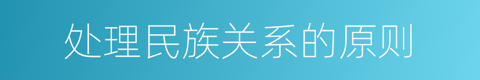 处理民族关系的原则的同义词