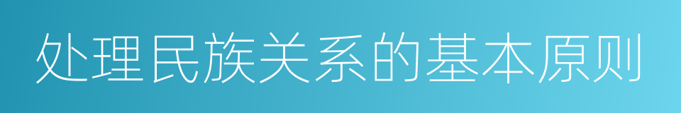 处理民族关系的基本原则的同义词