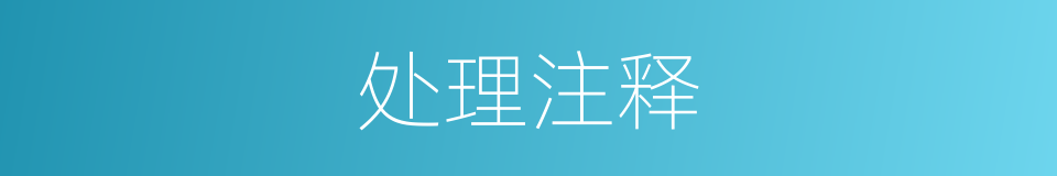 处理注释的意思