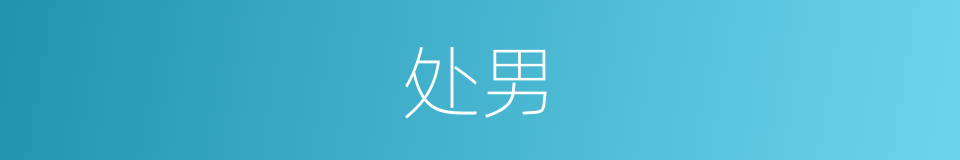 处男的意思