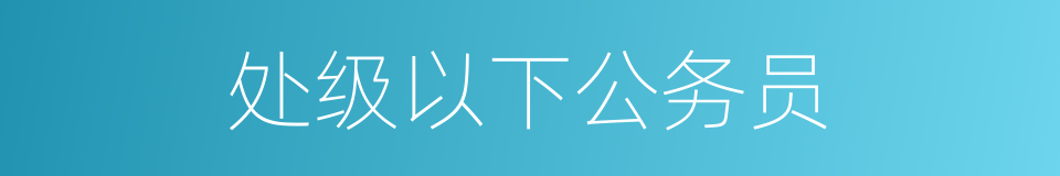 处级以下公务员的同义词
