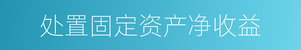 处置固定资产净收益的同义词