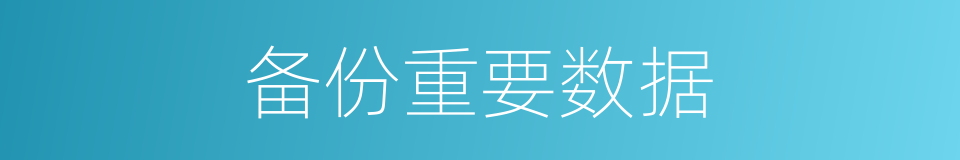 备份重要数据的同义词