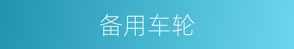备用车轮的同义词
