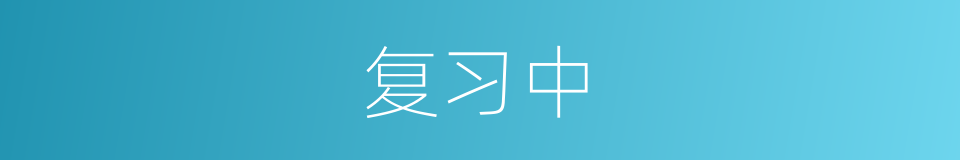 复习中的同义词