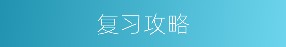 复习攻略的同义词
