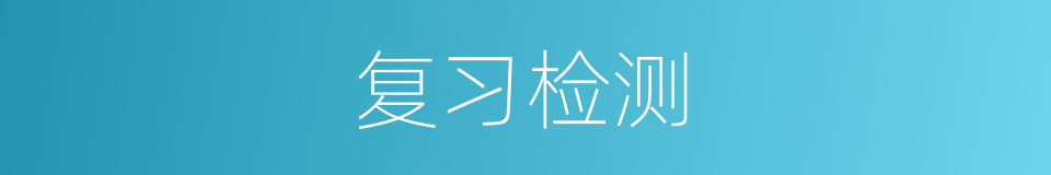 复习检测的同义词