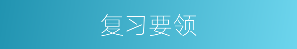 复习要领的同义词