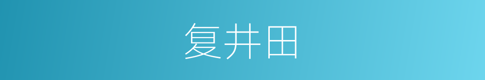 复井田的同义词