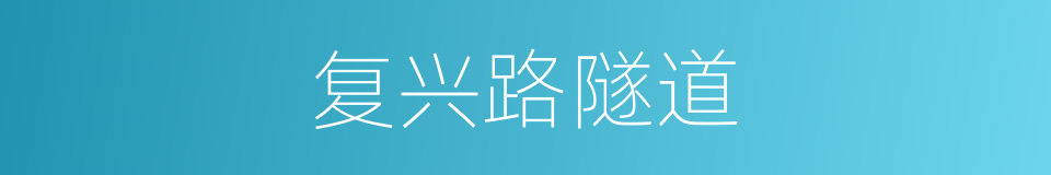 复兴路隧道的同义词