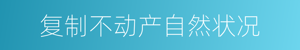 复制不动产自然状况的同义词