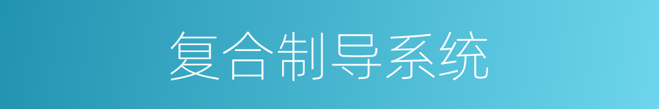 复合制导系统的同义词