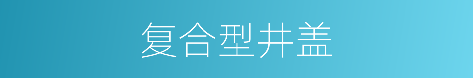 复合型井盖的同义词
