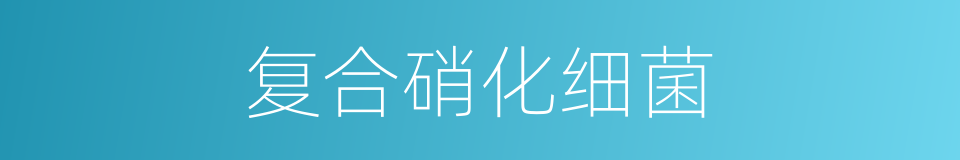 复合硝化细菌的同义词